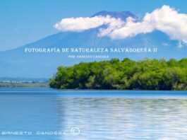 Fotografía de naturaleza salvadoreña II pasta